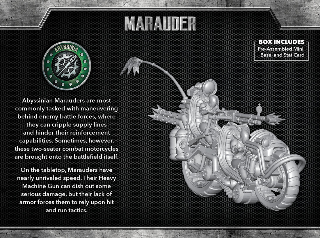 
                    
                      Wyrd Miniatures Marauder The Other Side unit box showing the back of the figure with detailed armor and weaponry.
                    
                  