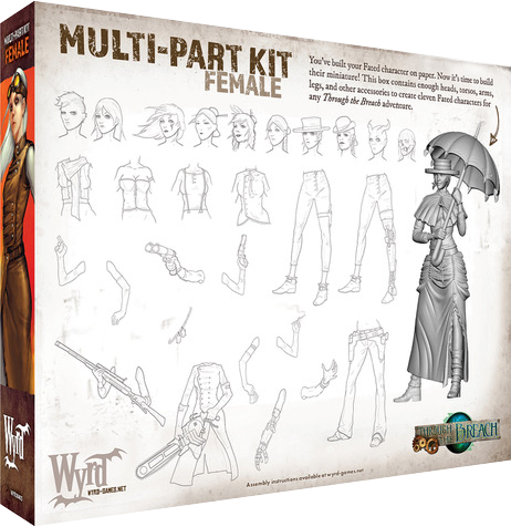 
                    
                      Wyrd Female Multi-part Kit with detailed sections and pieces, showcasing the assembled model's back view and intricate parts.
                    
                  