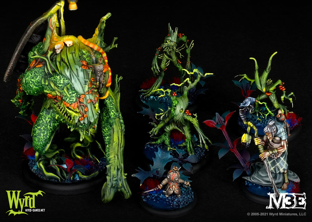 
                  
                    Load image into Gallery viewer, Zoraida Core Box - Wyrd Miniatures - Online Store
                  
                